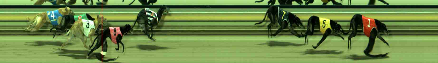 Race result finish photo