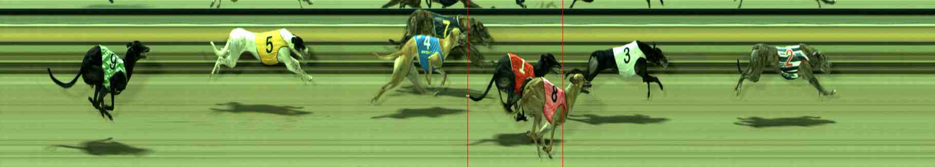 Race result finish photo