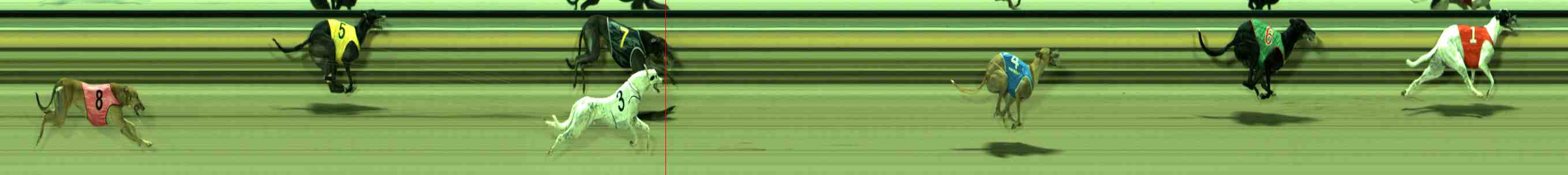 Race result finish photo