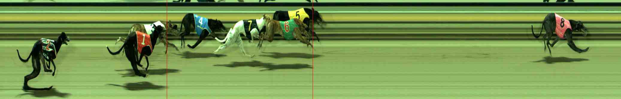 Race result finish photo