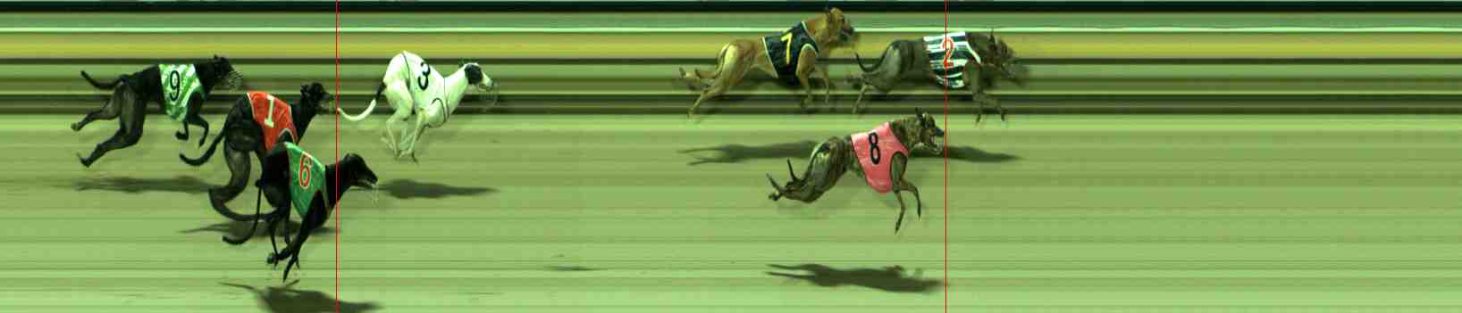 Race result finish photo