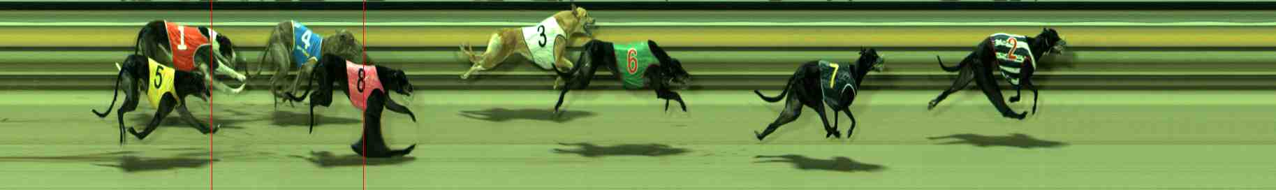 Race result finish photo