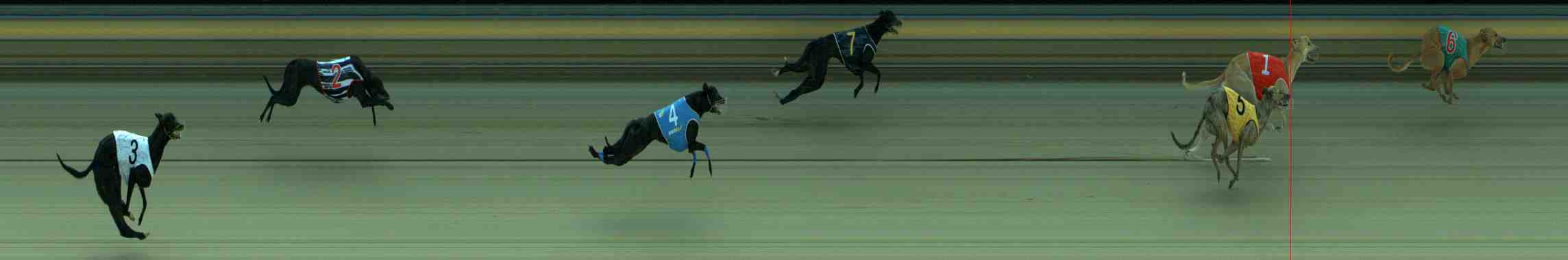 Race result finish photo