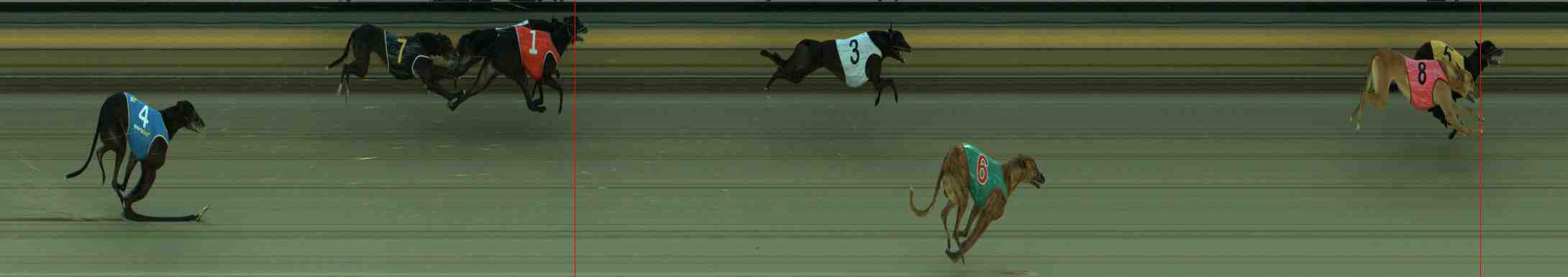 Photo finish for Sale Race 2