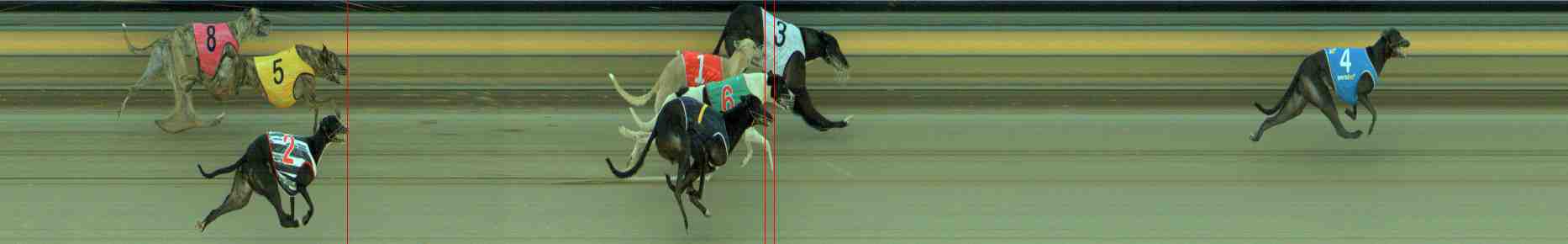Photo finish for Sale Race 3