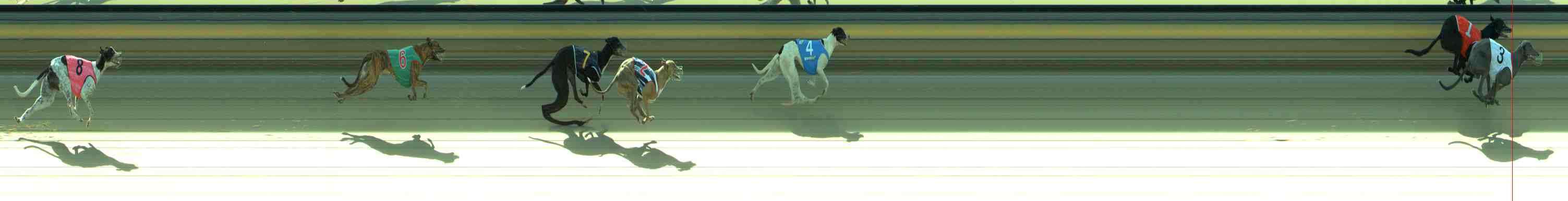 Photo finish for Sale Race 4