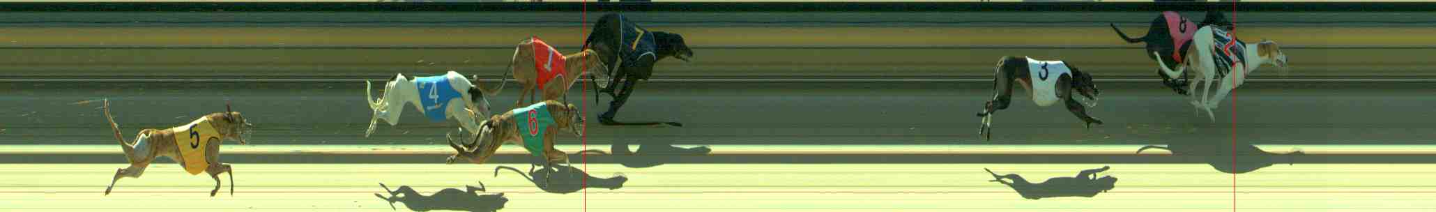 Photo finish for Sale Race 5