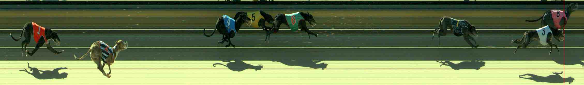 Photo finish for Sale Race 6