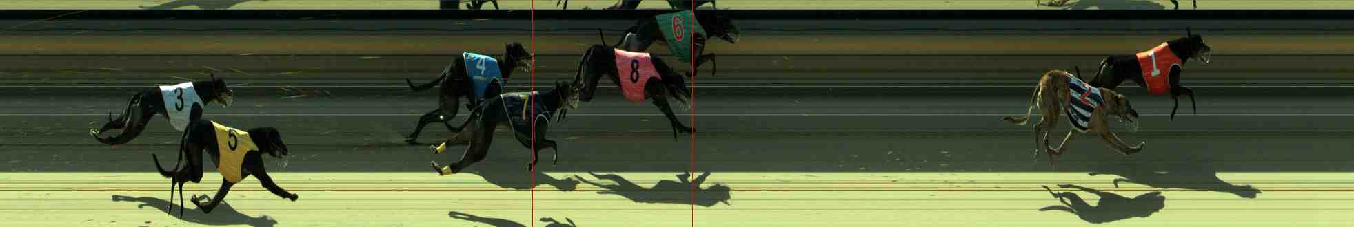 Photo finish for Sale Race 8