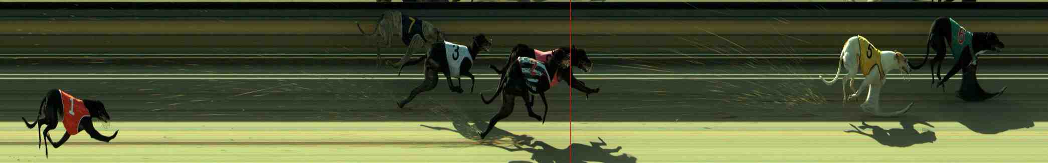 Photo finish for Sale Race 9