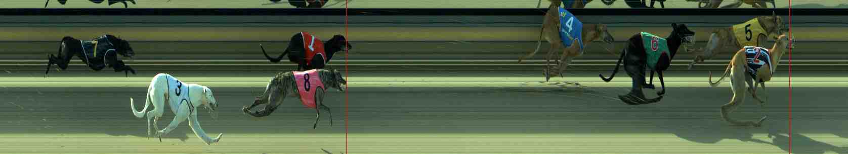 Photo finish for Sale Race 11