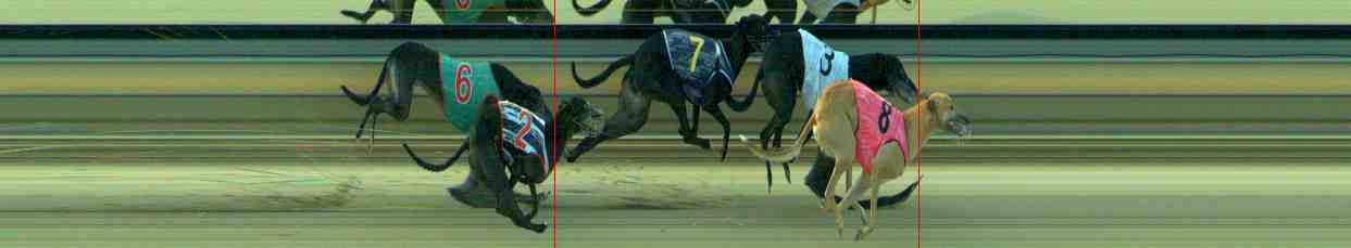 Photo finish for Sale Race 12