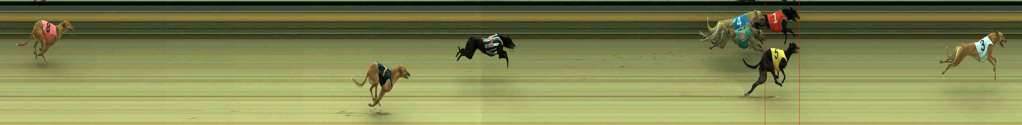 Photo finish for Sale Race 1