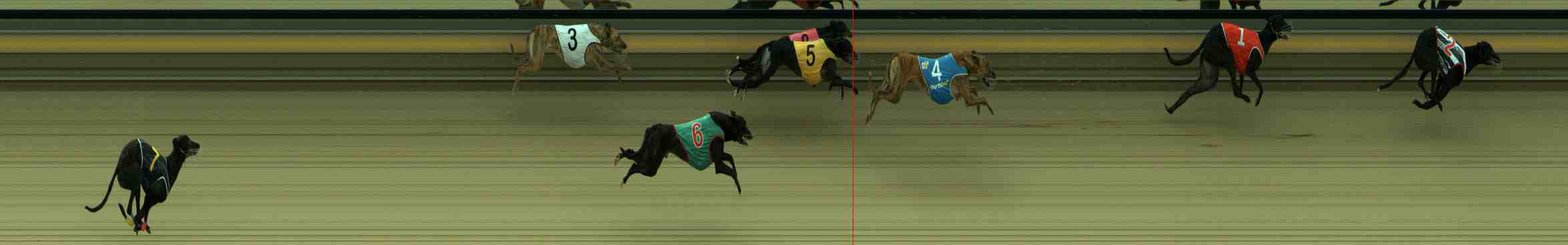 Photo finish for Sale Race 2