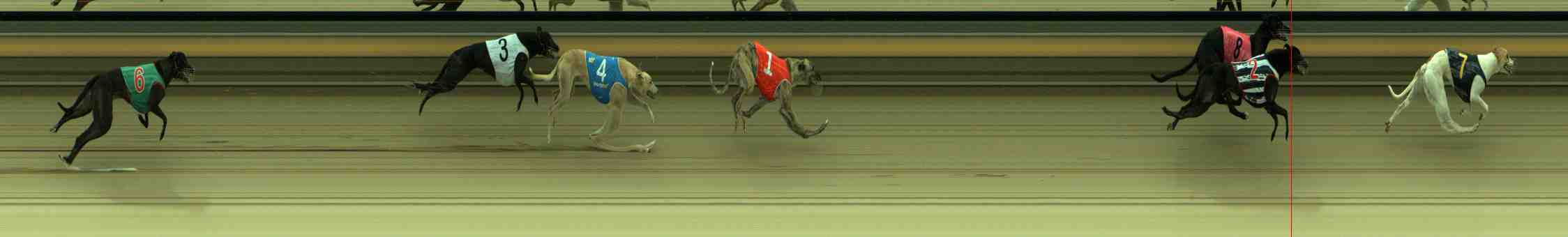 Photo finish for Sale Race 3