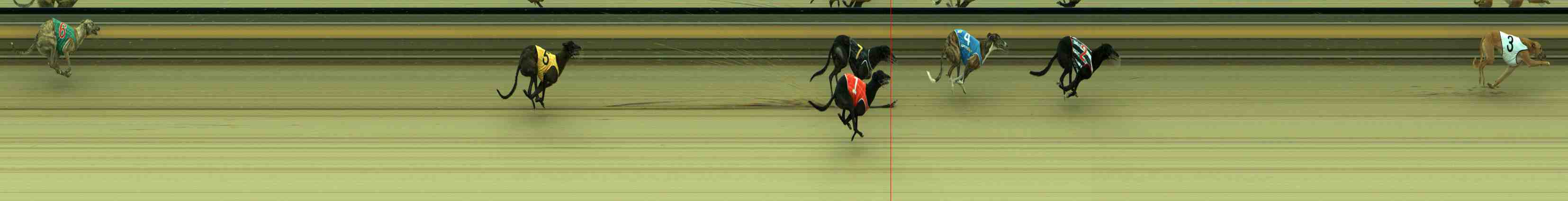 Photo finish for Sale Race 4