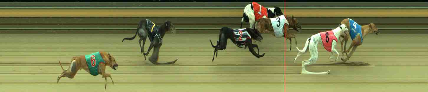 Photo finish for Sale Race 5