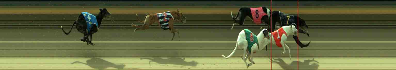 Photo finish for Sale Race 6