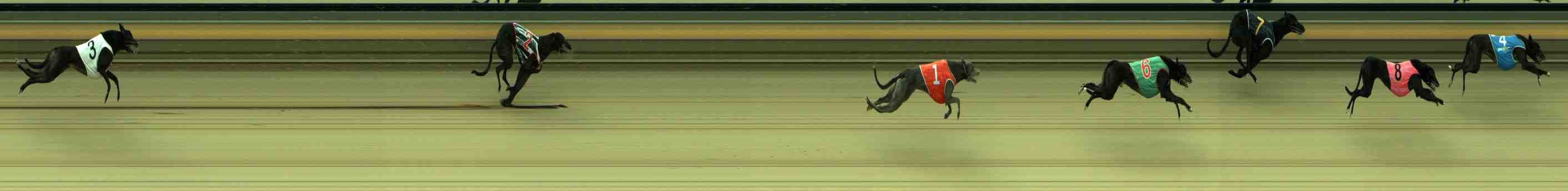 Photo finish for Sale Race 7