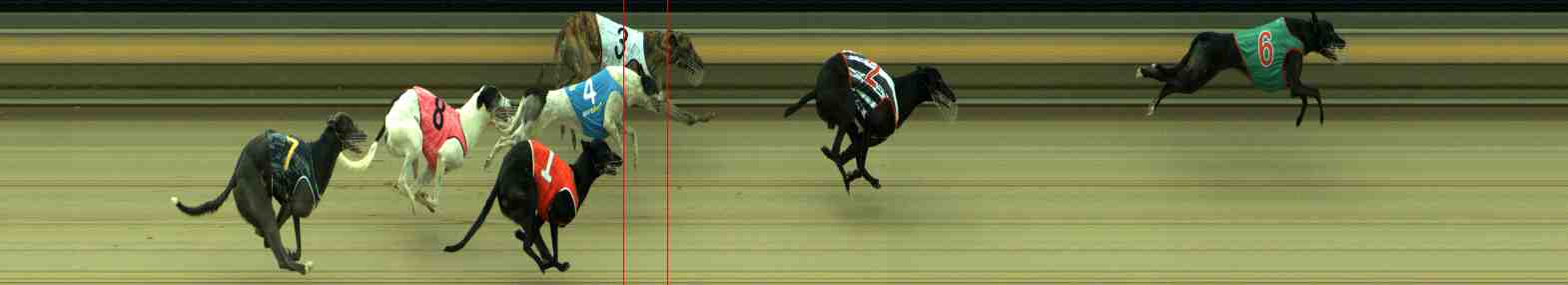 Photo finish for Sale Race 8