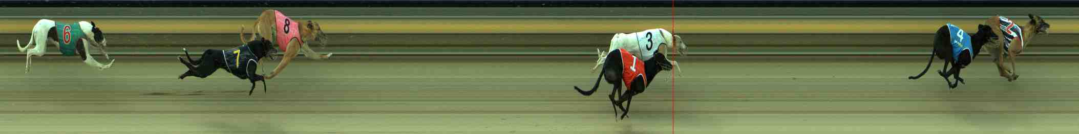 Photo finish for Sale Race 9