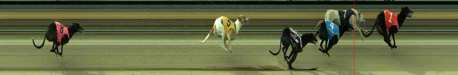 Photo finish for Sale Race 10