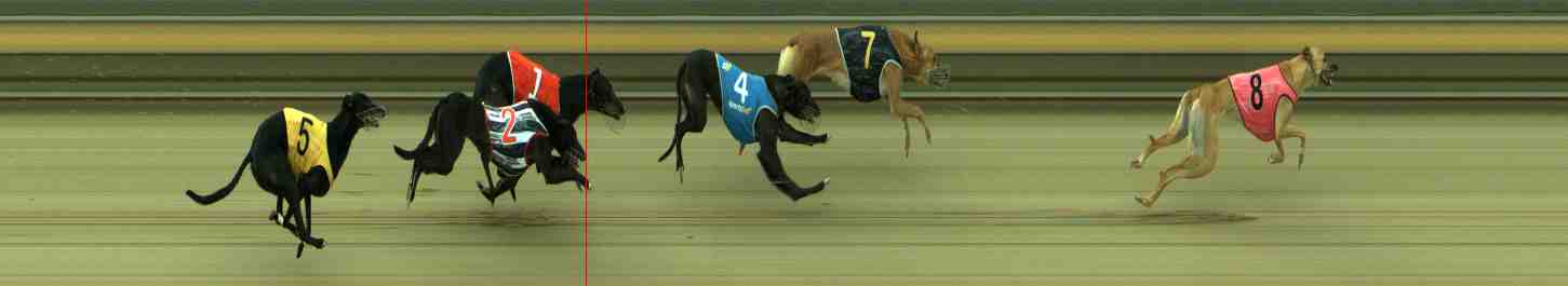 Photo finish for Sale Race 11