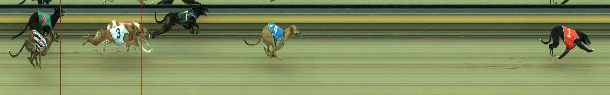 Photo finish for Sale Race 12