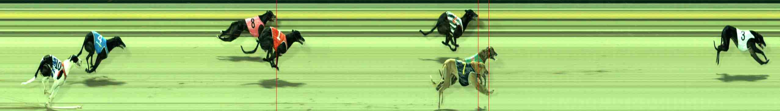 Photo finish for Sale Race 1
