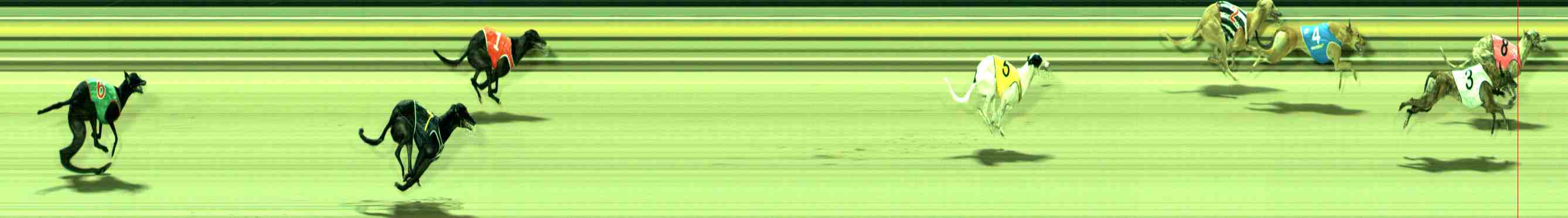 Photo finish for Sale Race 2