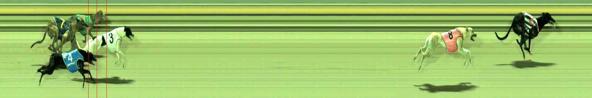 Photo finish for Sale Race 3