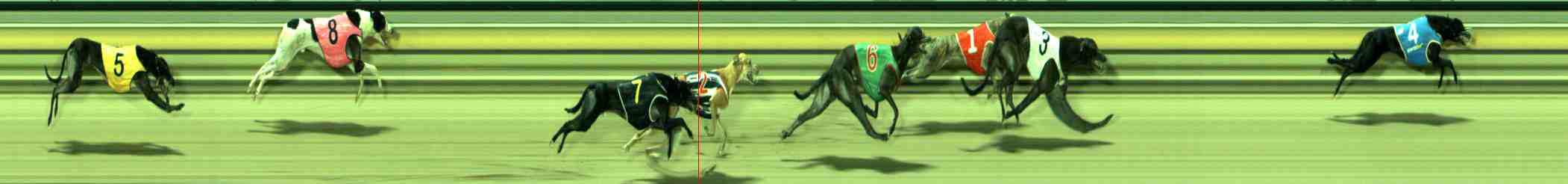 Photo finish for Sale Race 4