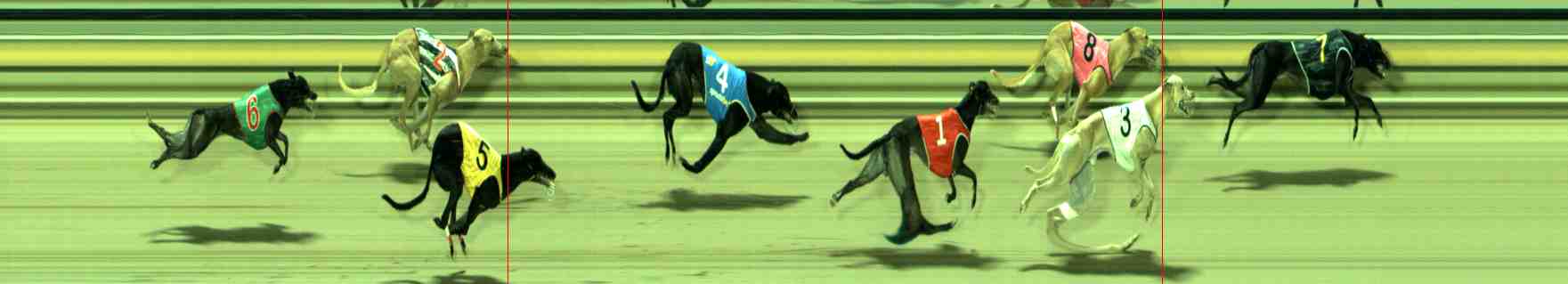 Photo finish for Sale Race 5