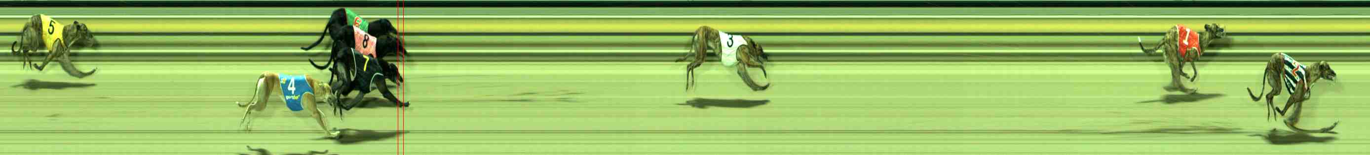 Photo finish for Sale Race 6