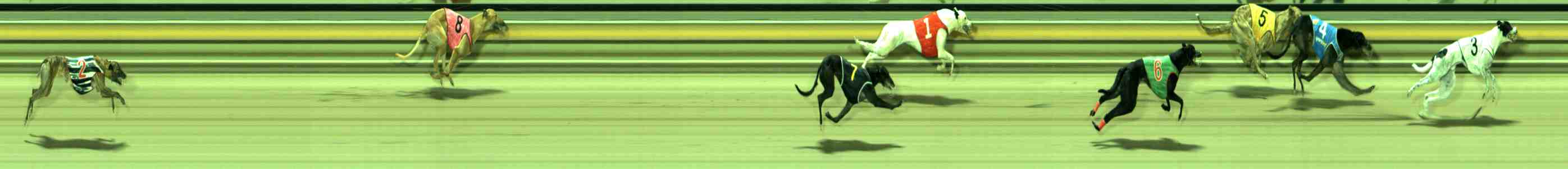 Photo finish for Sale Race 7