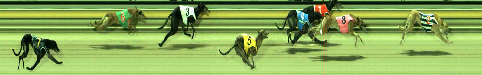 Photo finish for Sale Race 8