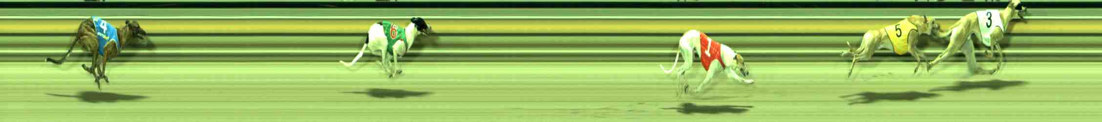 Photo finish for Sale Race 9