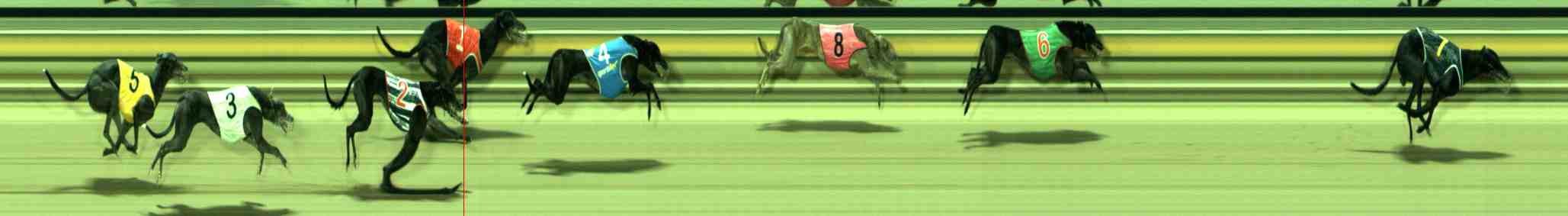 Photo finish for Sale Race 10