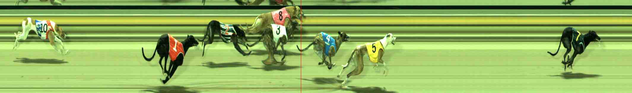 Photo finish for Sale Race 11