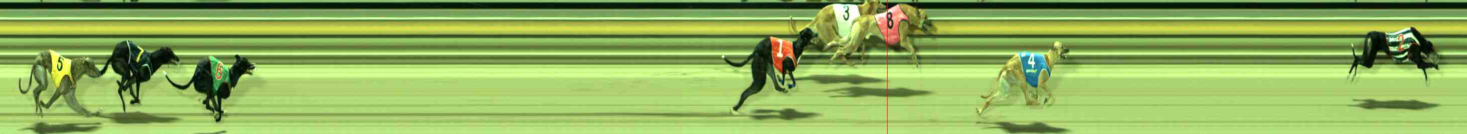 Photo finish for Sale Race 12