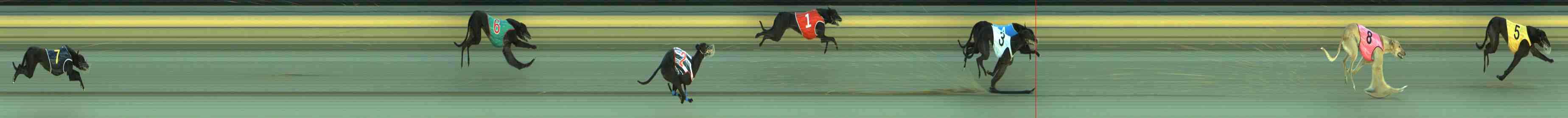 Photo finish for Sale Race 1
