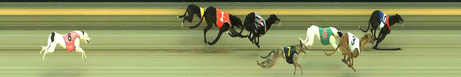 Photo finish for Sale Race 2