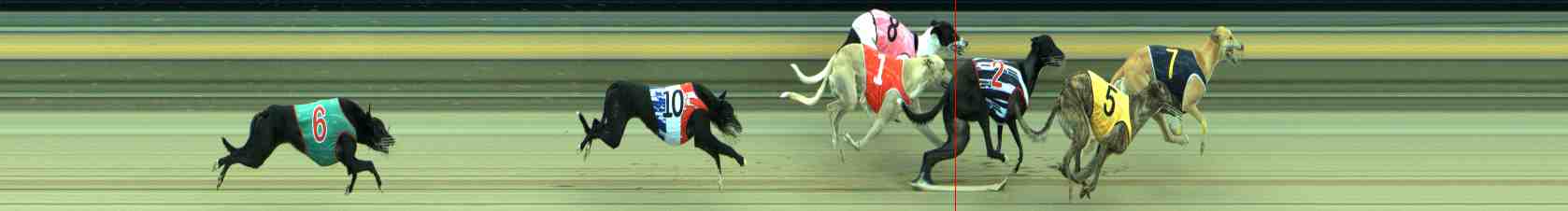 Photo finish for Sale Race 3