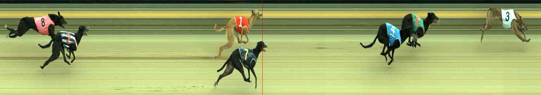 Photo finish for Sale Race 4