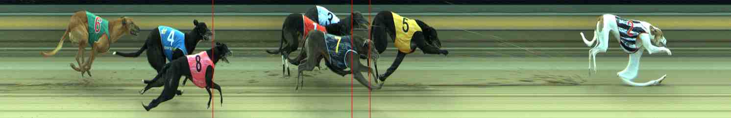 Photo finish for Sale Race 5