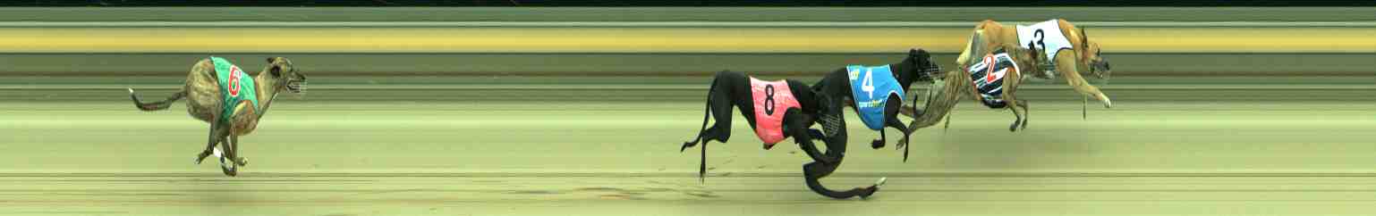 Photo finish for Sale Race 6