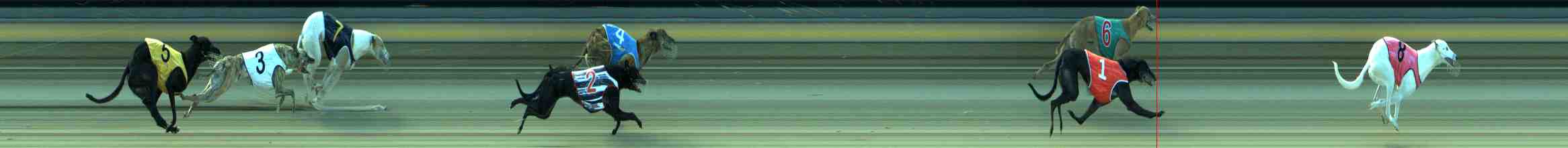Photo finish for Sale Race 7