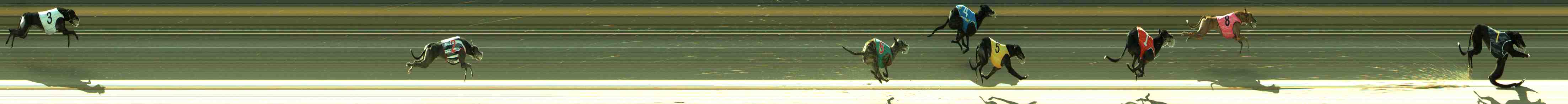 Photo finish for Sale Race 8