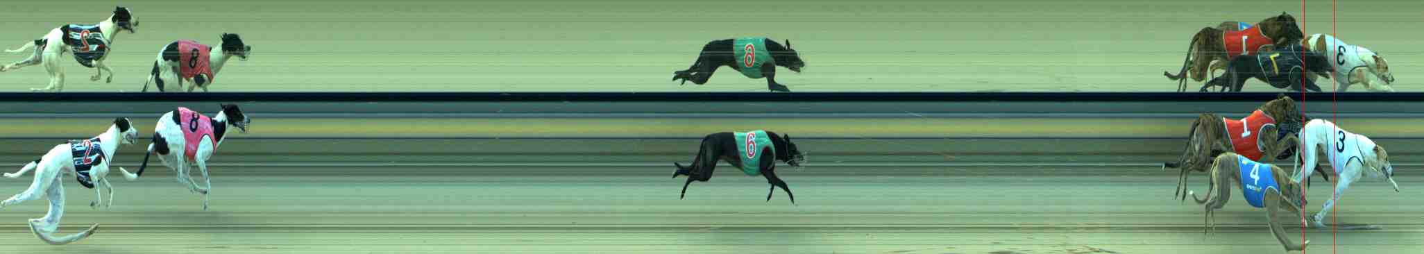 Photo finish for Sale Race 9