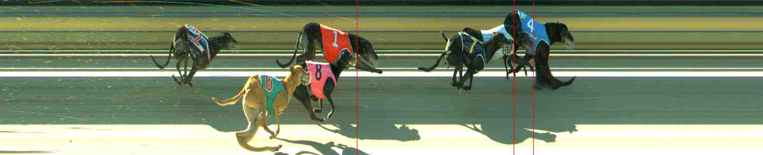 Photo finish for Sale Race 10